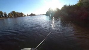 ОКУНИ ЛЮТУЮТ/ рыбалка на реке ЧИР с лодки на хищника осенью 2023 #спиннинг