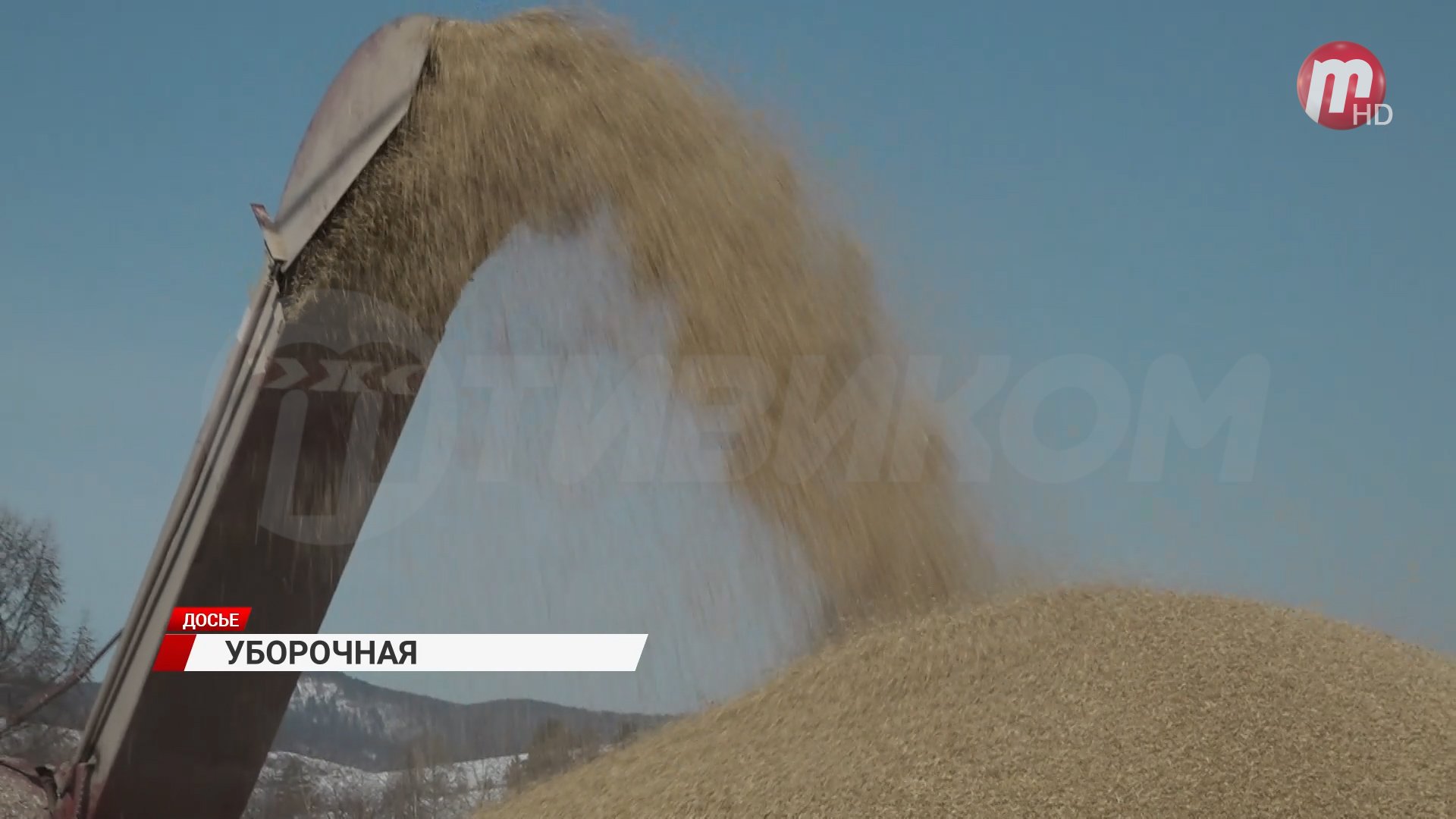 Собрали все! Уборочная кампания в Бурятии завершена
