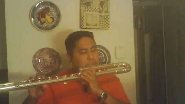 The Sound of Silence : Paul Simon (Bass flute cover) смотреть онлайн