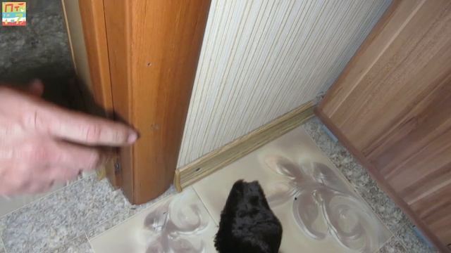 ✅ Если громко хлопает дверь - ВЕСЬ СЕКРЕТ / Полезные советы смотреть онлайн