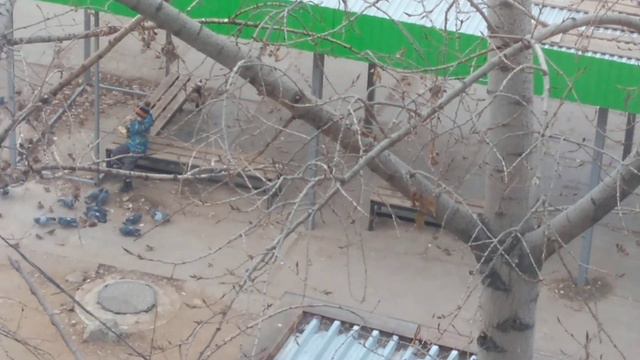 Доброе дело которое должен делать каждый человек. смотреть онлайн