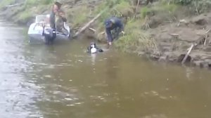 Как Портнягин Сергей Юрьевич  добывает бивни мамонта