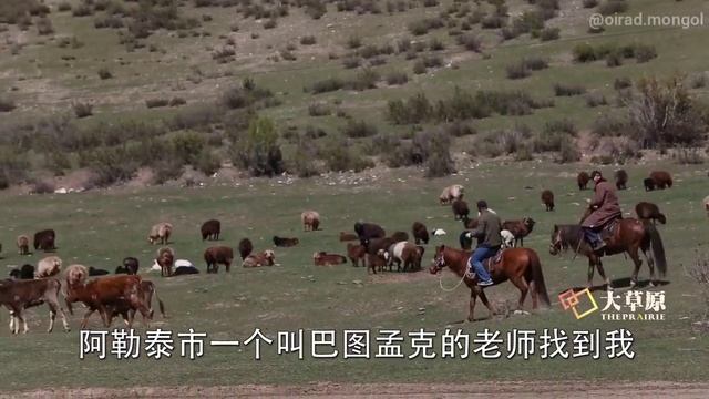 Торгуты Алтая