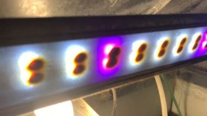 ЛАМПЫ ATMAN, PRIME, EHEIM, НАКАЛИВАНИЯ - СВЕТ В НАШИХ АКВАРИУМАХ l ЧТО ЛУЧШЕ РАСТЕТ ПОЛ ЭТИМ СВЕТОМ