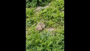 поездка на Джилы-Су