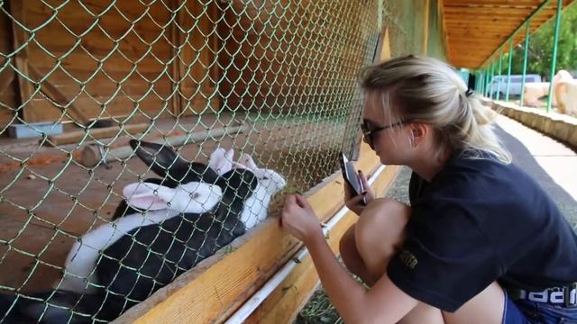 Жасыбай Берёзка Богатырь Комир смотреть онлайн