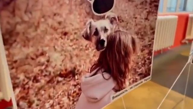 "Возьми друга из приюта" смотреть онлайн