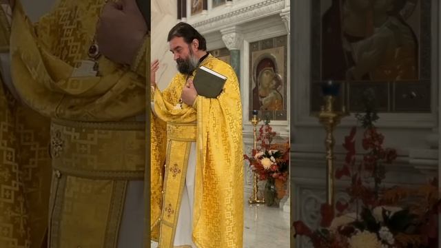 ПРОЧИТАЛ, ЗАПОМНИЛИ, ПОВТОРИЛИ, СДЕЛАЛИ ВЫВОДЫ / ПРОТОИЕРЕЙ АНДРЕЙ ТКАЧЁВ / #андрейткачев #ткачев