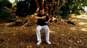 “CAN'T STOP THE FEELING!” Динамический танец на стуле.Занятия проводит Э.Айзенберг