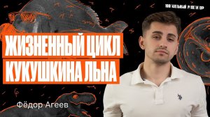 Жизненный цикл Кукушкина льна | Биология ОГЭ – Федор Агеев