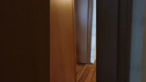 басс тест колонки fiero emotion 150 | 160ватт!!! | ЭТА КОЛОНКА РАЗНОСИТ КВАРТИРУ!!!#fieroemotion150