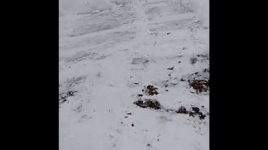 Про снегозадержатели. Сход снега с крыши.