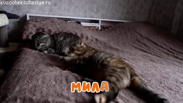 Олюшка смотреть онлайн