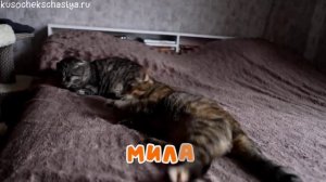 Олюшка