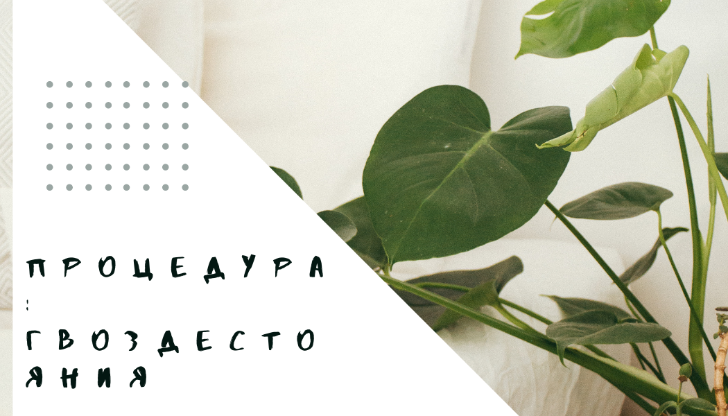 Процедура «ГВОЗДЕСТОЯНИЯ»