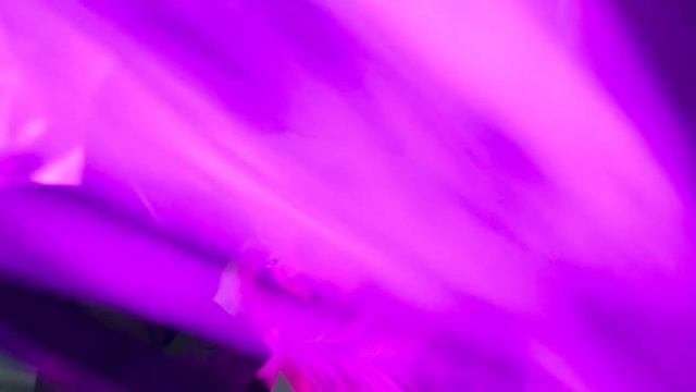 NEON by Pokras Studio