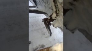 снегоуборочная лопата на уаз без лебедки