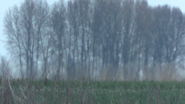 ВОБЛА ПОШЛА! Ловля ходовой Астраханской воблы и леща