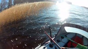 Ловля щуки на крупный силикон в конце октября,  в Финском заливе на спининг...