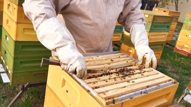 Чтобы успокоить матку=верхняя вентиляция! смотреть онлайн