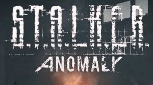 Stalker Anomaly №5 Сраный путь от радара к гостинице полесье