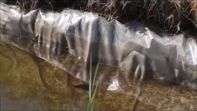 Мой прудик смотреть онлайн