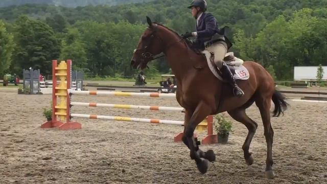 Vermont Summer Festival Week 4 2016 .90 Jumpers смотреть онлайн