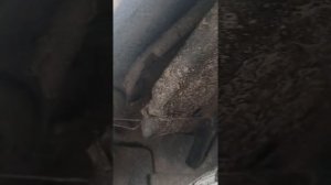 Мазда мпв диагностика ремонт замена чистка промывка авто радиаторов кондиционеров и печек