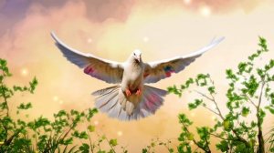 ❗❗❗12.06.22 Святая Троица! Песня про Троицу "Дух Святой".