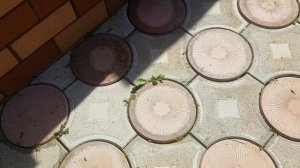 Основание под тротуарную плитку