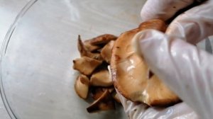 Жареные рыжики. Как правильно почистить и приготовить рыжики.