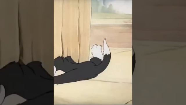 "Несчастные коты" (переозвучка 2) смотреть онлайн