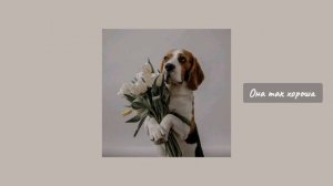 Песни для поднятия женской самооценки и любви к себе