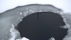 Зимнее кормление форели в пруду.