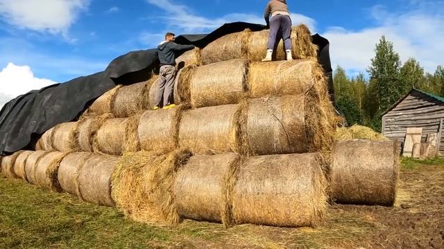 КУДА СПРЯТАТЬ 200 КАТУШЕК СЕНА?! смотреть онлайн