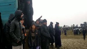 Кашкадаре 2020 Камашида катта купкари булди ...