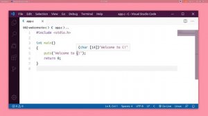 Язык Си. #030. Функции и процедуры.