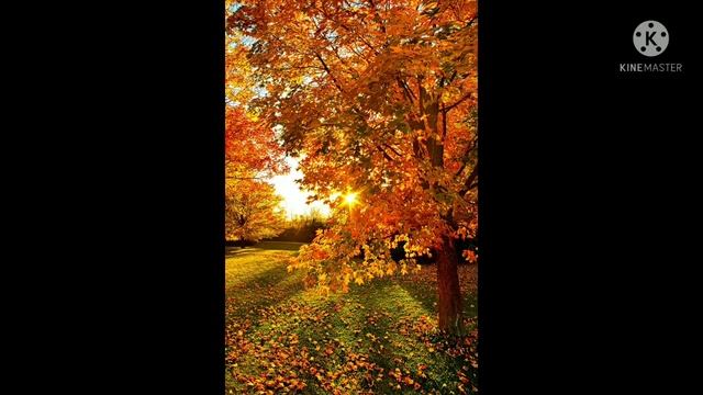 ??с Праздником Рождества Пресвятой Богородицы??21 сентября.?️ смотреть онлайн