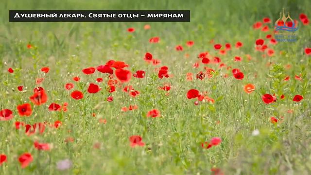 🔴 Зачем людям Бог - #Верую_православие