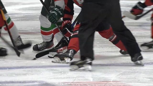 22.11.2022. "Спутник" - "Ирбис" 2:3 ОТ смотреть онлайн