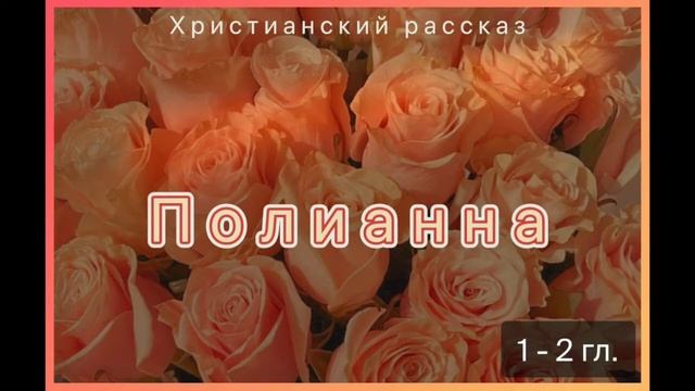 Интересный христианский рассказ Полианна, 1-2 главы смотреть онлайн