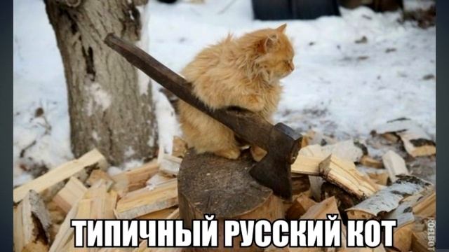 Лютые приколы .ЖЕЛЕЗНЫЙ ХАЛКОПАУК .Угарные мемы смотреть онлайн