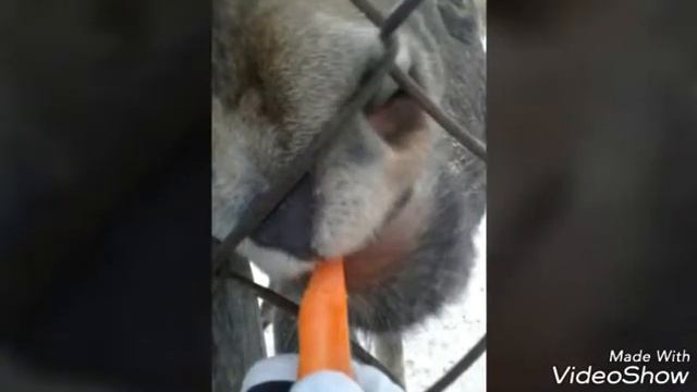 Моё путешествие по Костроме😍 смотреть онлайн