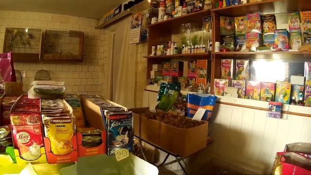 Свиньи Антибиотики ускоренный рост смотреть онлайн