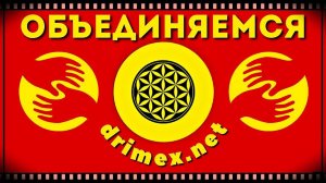 ОБЪЕДИНЯЕМСЯ - DRIMEX NET