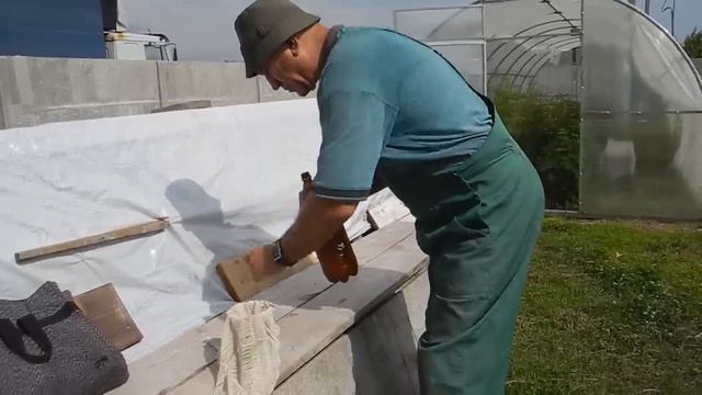 Как вырастить много белых грибов на своем участке