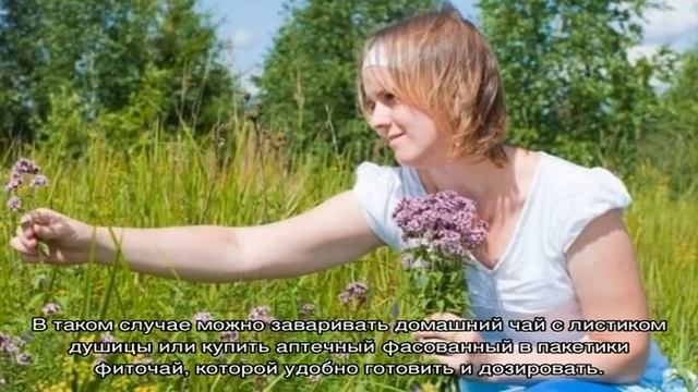 Можно ли давать душицу детям? смотреть онлайн