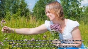 Можно ли давать душицу детям?