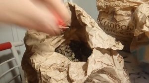 ПРОФЕССОР НЕУМЫВАКИН УЧИТ МЕНЯ СОСТАВЛЯТЬ МОЩНЕЙШИЙ СБОР 9.01.2019