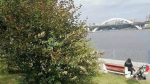 Набережная, канал, химки